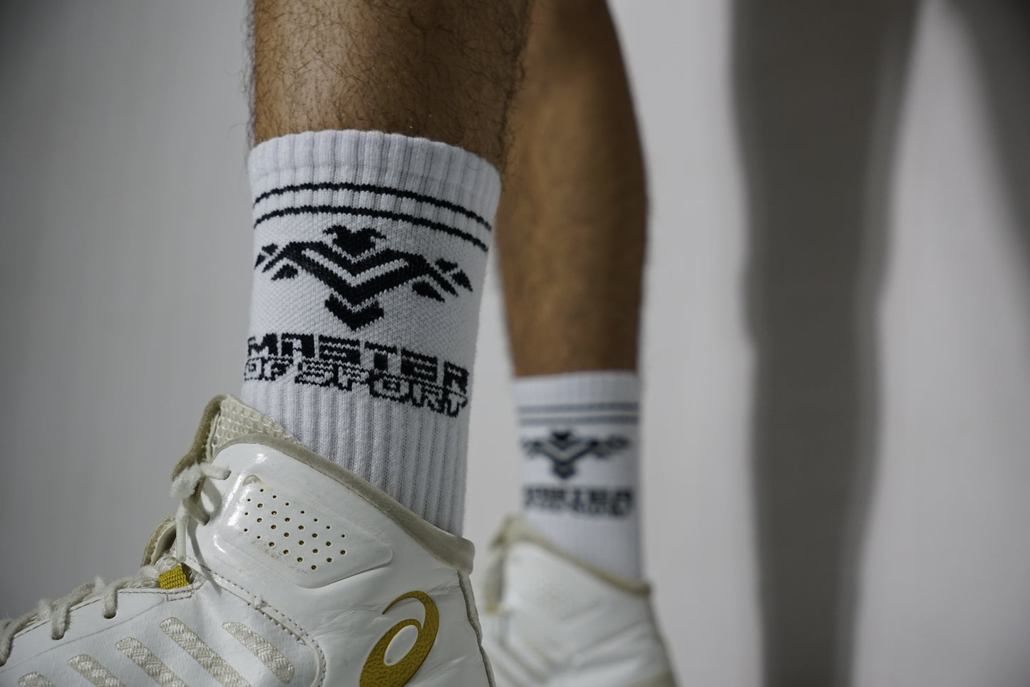 Socks - Master of Sport