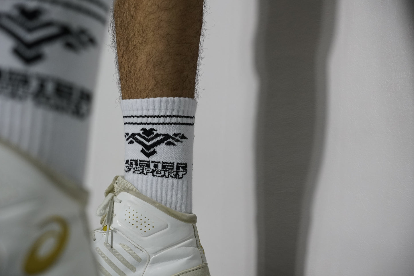 Socks - Master of Sport