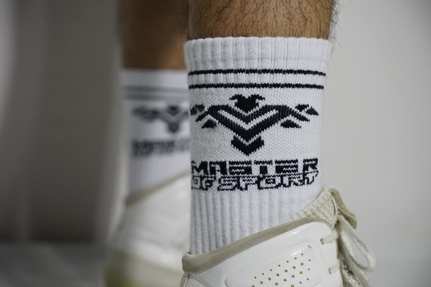 Socks - Master of Sport